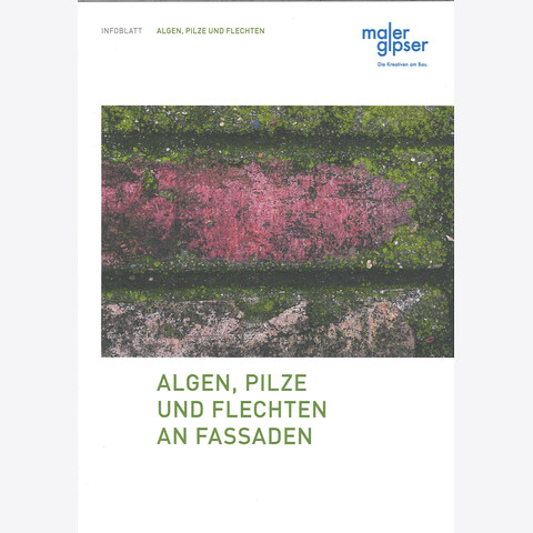 50er-Set Infoblatt «Algen, Pilze und Flechten»