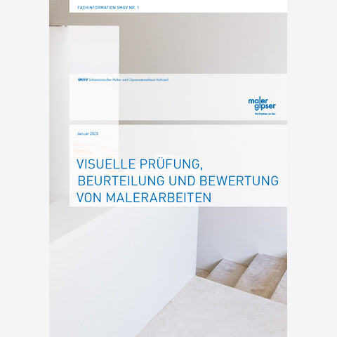 Fachinfo Nr.1: Visuelle Prüfung, Beurteilung und Bewertung von Malerarbeiten